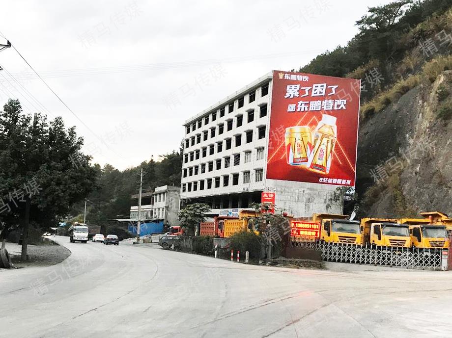 东鹏特饮